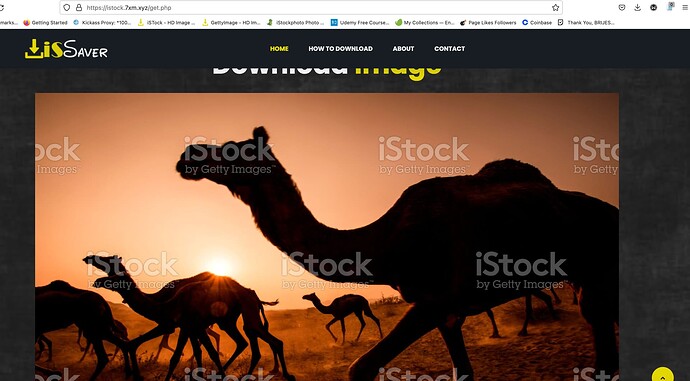 Screenshot 2022-08-28 at 11.04.08 AM