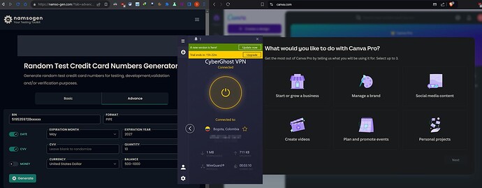 Canva Pro Works