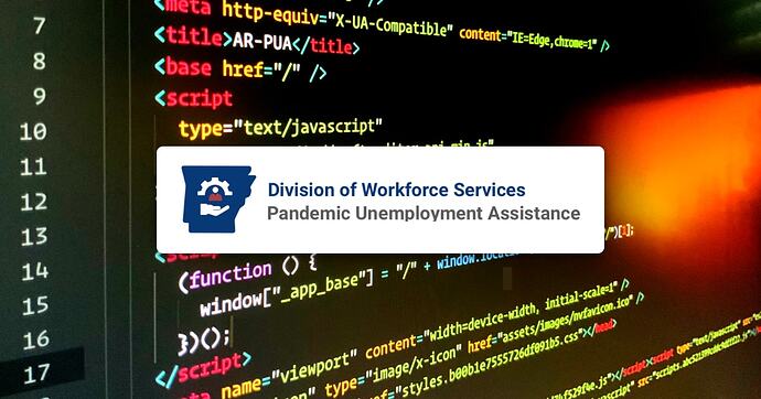 arkansas_pandemic_portal_security_vulerability