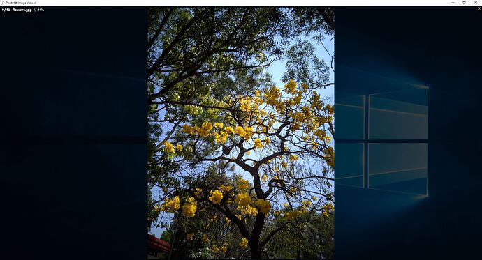 PhotoQt-image-preview-scaled-1