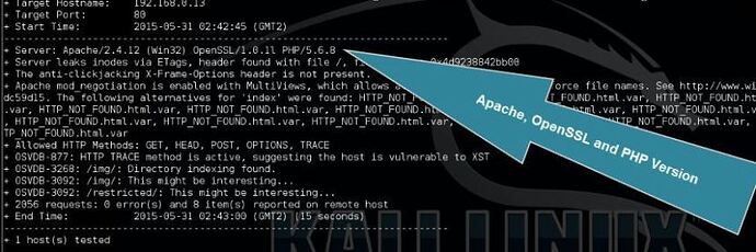 scanning-webservers-with-nikto-for-vulnerabilities