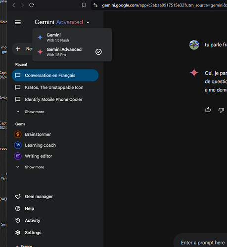 gemini pro