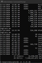 Show-hidden-files-using-command-line-on-Windows-10
