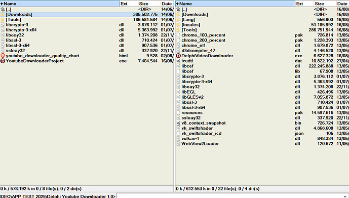DELPHI 1.1 VS 1.2