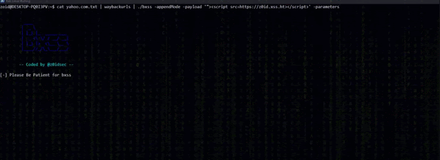 bxss_2