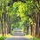 Abdelrahman_Essam