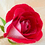 bhavya_k