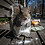 cocaine_squirrel