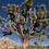 desertbuddha