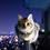 Ismael_E