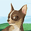 Lanace_D