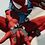 Lee_Corvidae