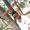 np_fudji
