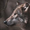 The_Wolf
