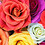 Tyrone_Williamson