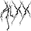 XX_IV